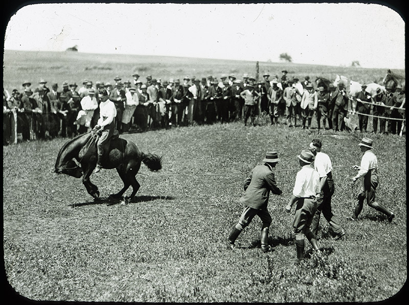 36 - Ross' Cattle Station, NSW.jpg - 36 - Ross' Cattle Station, NSW